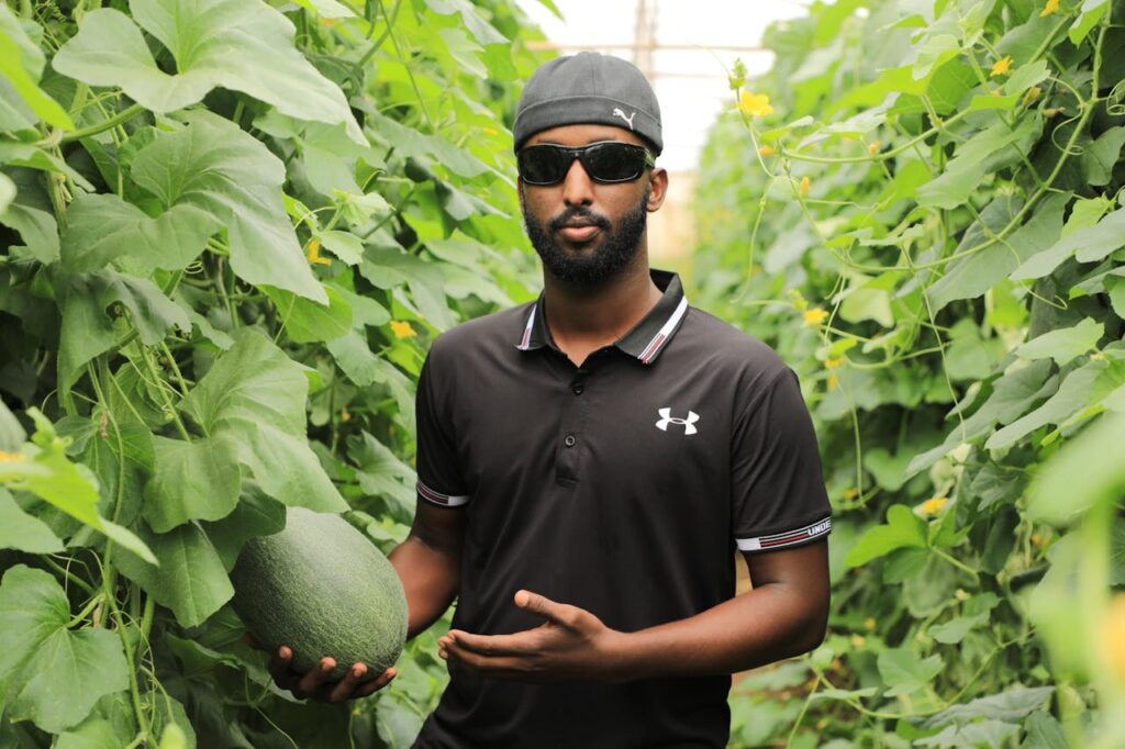 pexels-photo-29091325-2 African farmer in greenhouse holding a melon, showcasing modern agriculture in Mogadishu, Somalia.
